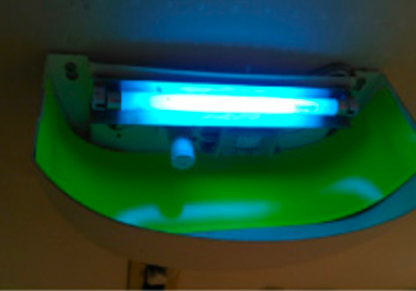 害虫駆除について